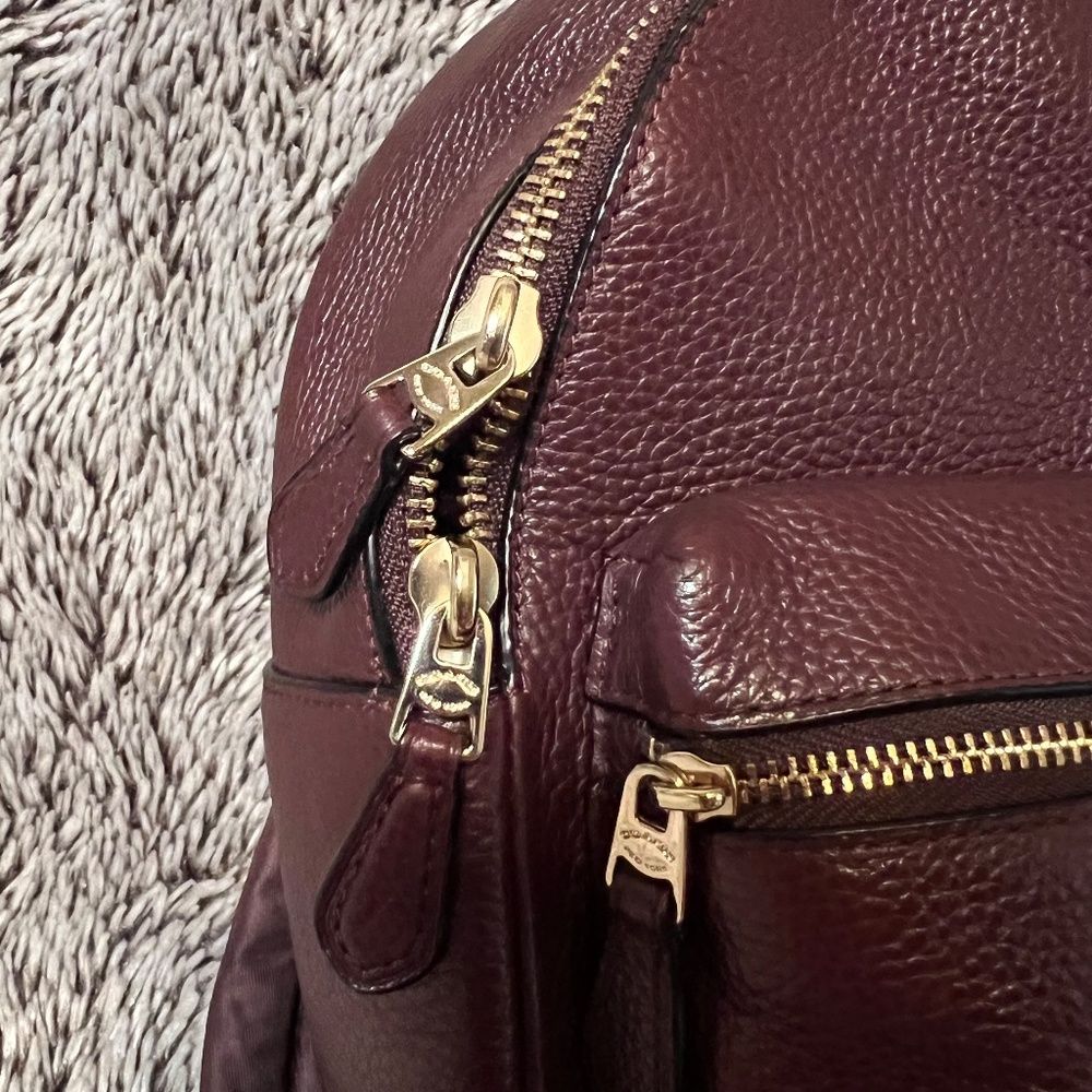 Coach Charlie Pebble Mini Leather Backpack - Picture 2 of 14